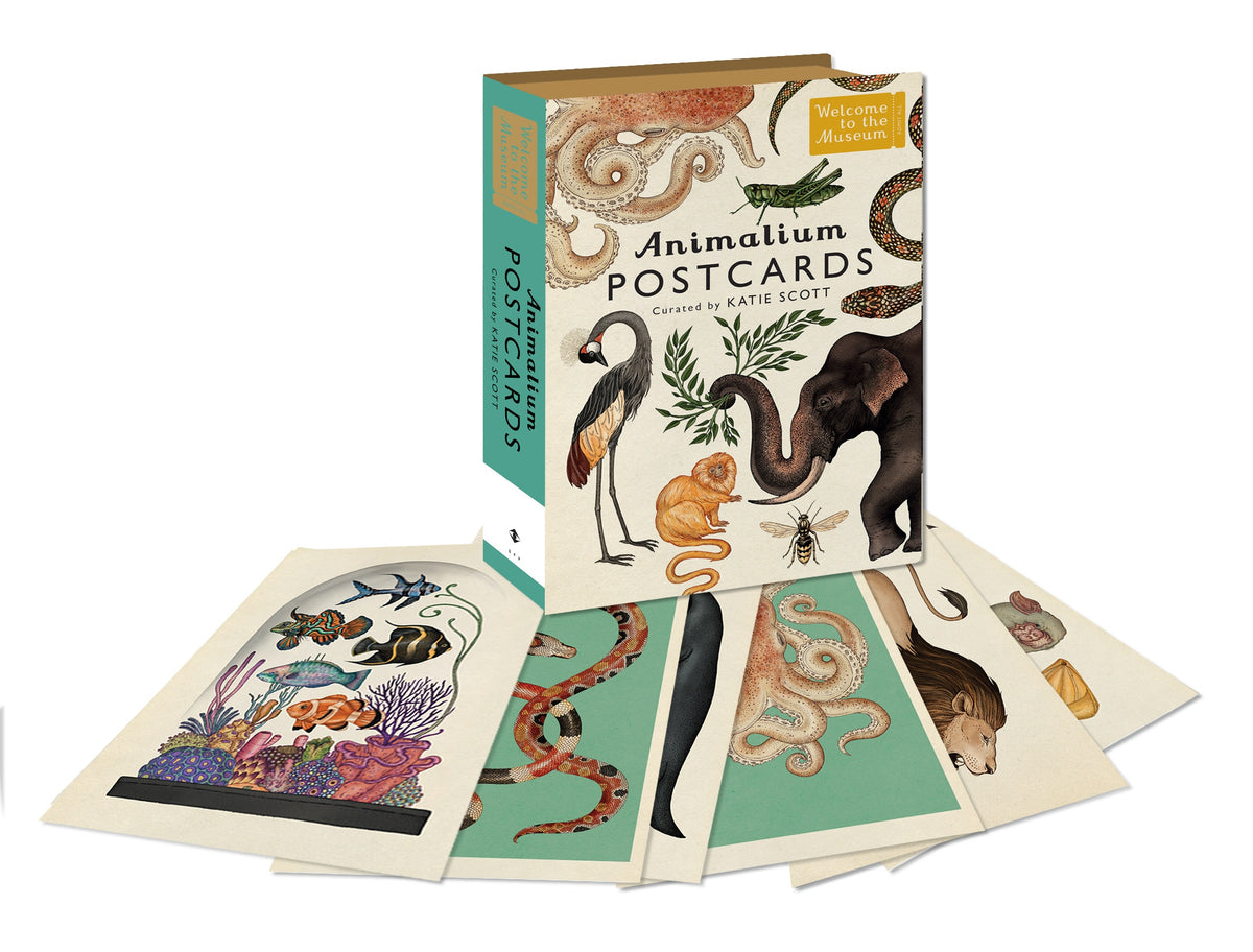 Animalium Postcards (Welcome to the Museum)