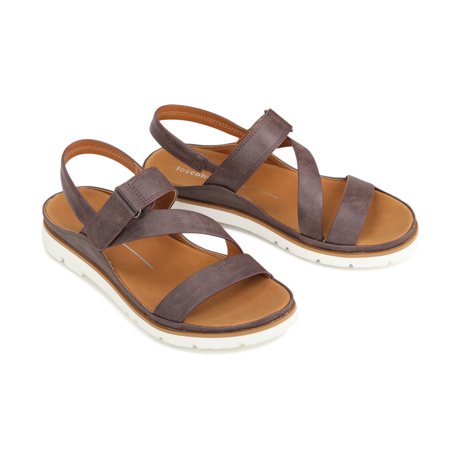 Los Cabos - Ashli - Mocha