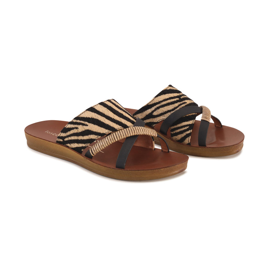 Los Cabos - Bride Black Zebra