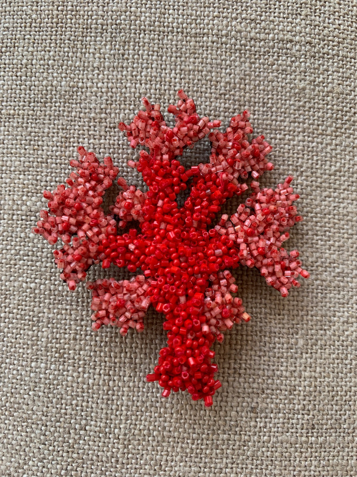 Trovelore - Coral Brooch