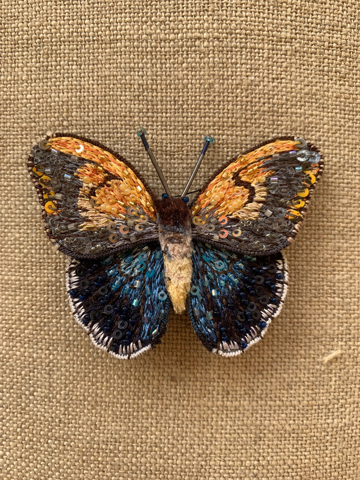 Trovelore - Giant Owl Butterfly Brooch