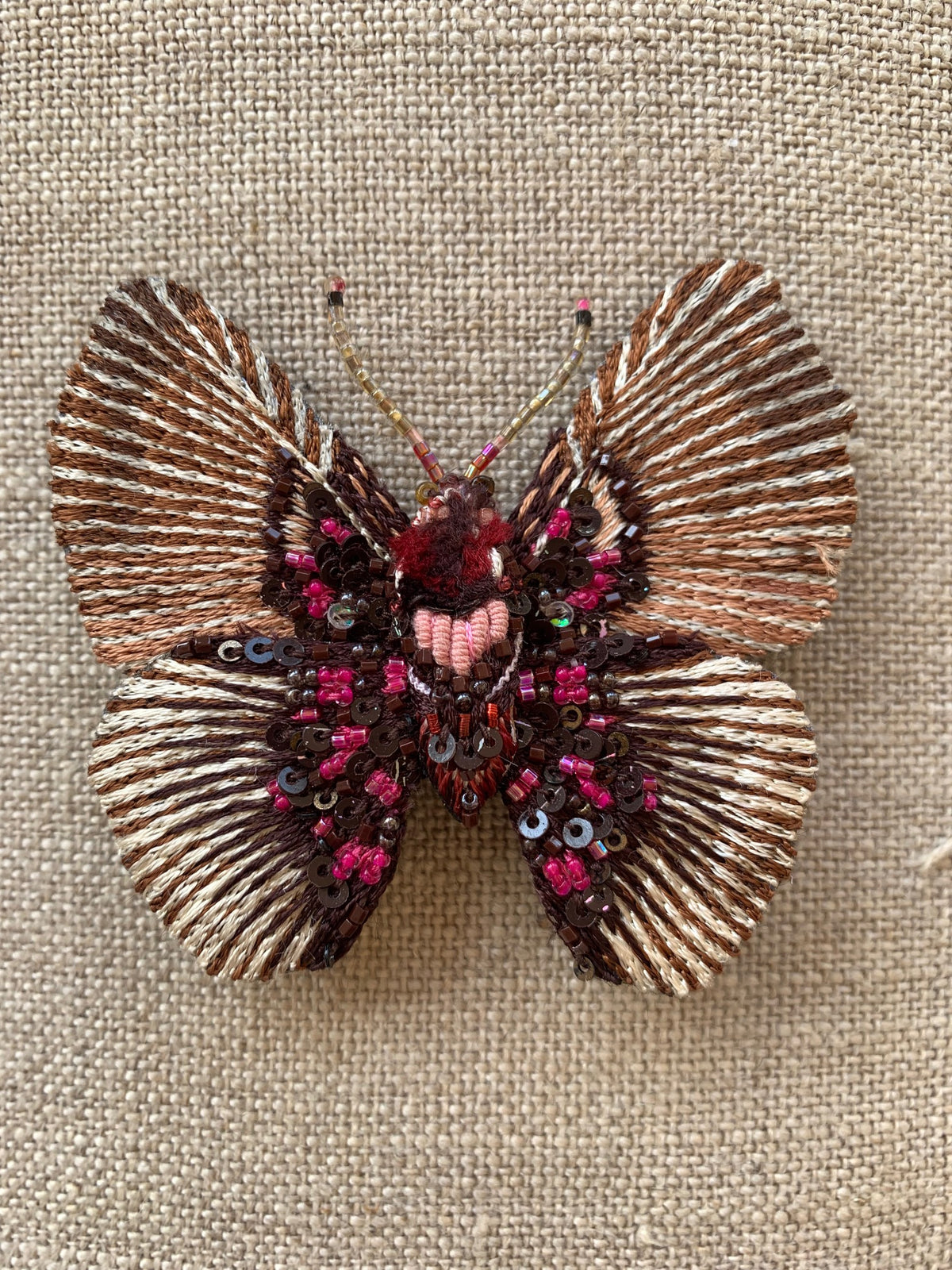 Trovelore - Variable False Acraea Butterfly