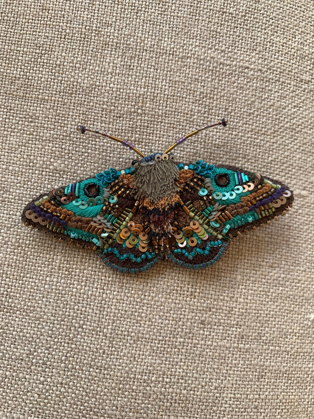 Trovelore - Lanipes Moth Brooch