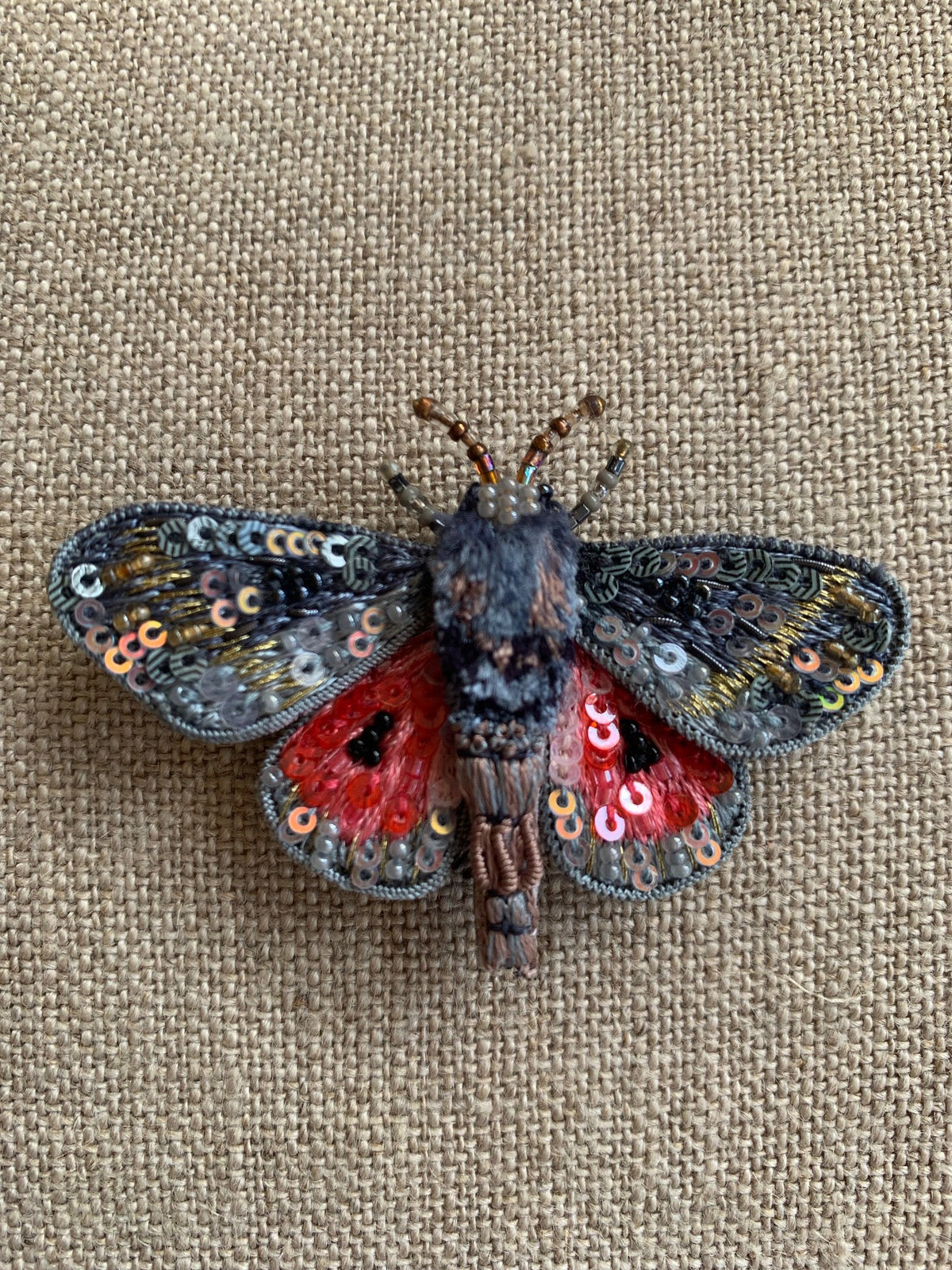 Trovelore - Hubbards Small Silk Moth